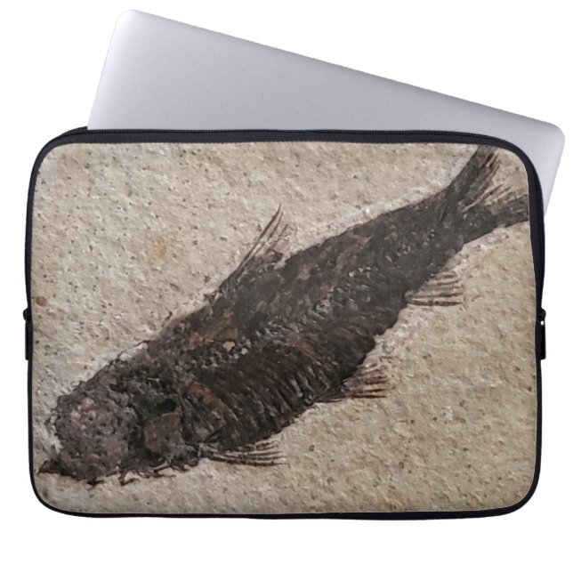 Fossilised Fish electronics case (Front)