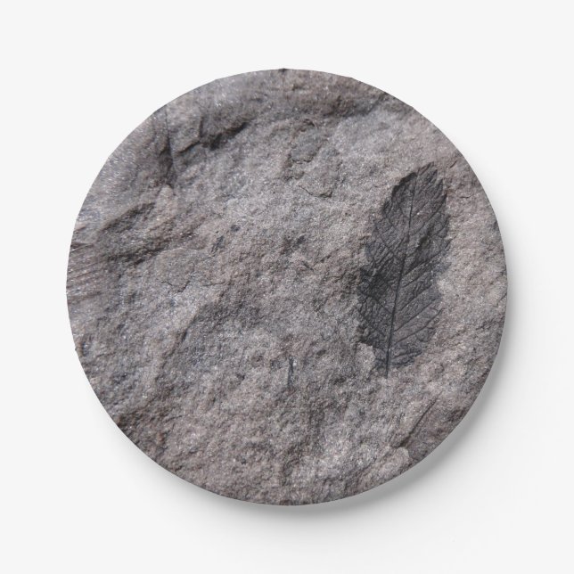 Fossilised Plant 350 Million Yr. Old Photo Print Paper Plate (Front)