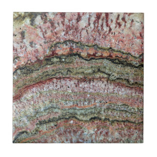 Fossilised Stromatolites Tile