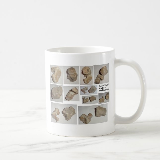 FOSSILIZED MAMMAL VERTEBRA COFFEE MUG (Right)