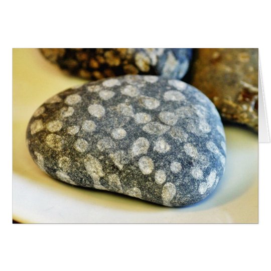 Fossils Rocks Coral Card