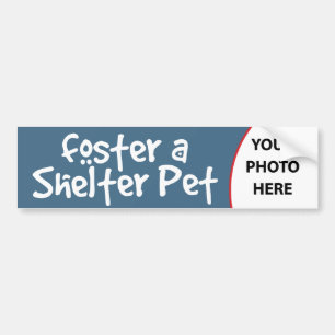 Foster a Shelter Pet Customisable Bumper Sticker