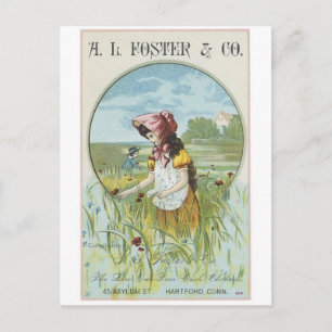 Foster and Company Little Girl Postcard