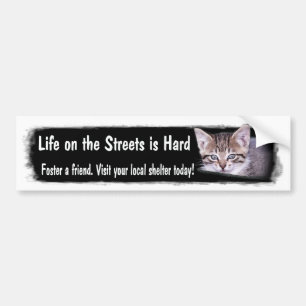 Foster Pets Bumper Sticker