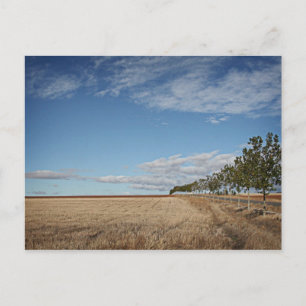 fotografias del Camino de santiago Postcard
