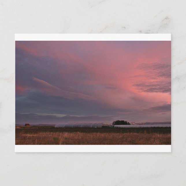 fotografias del Camino de santiago Postcard (Front)