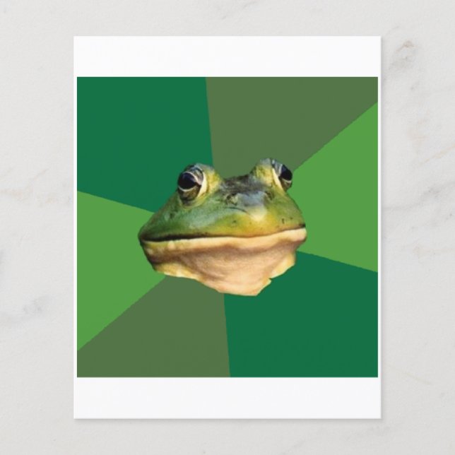 Foul Bachelor Frog Advice Animal Meme Flyer (Front)