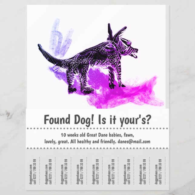 Found Dog Graphic Design Poster  Flyer (Front)