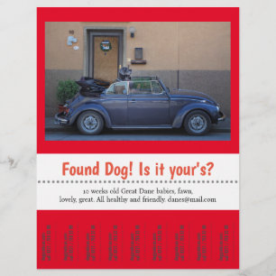 Found Dog Tear Off custom text Flyer