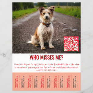 Found Dog Template tap Flyer