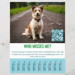Found Dog Template tap Flyer