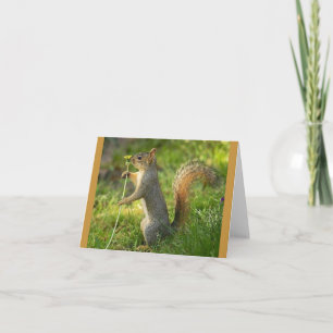 Found Squirrel with Dandelion image Card