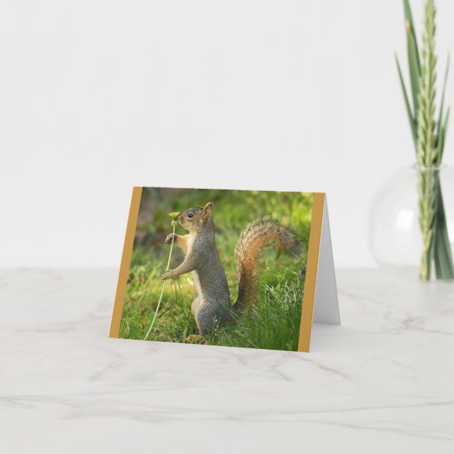 Found Squirrel with Dandelion image Card (Front)