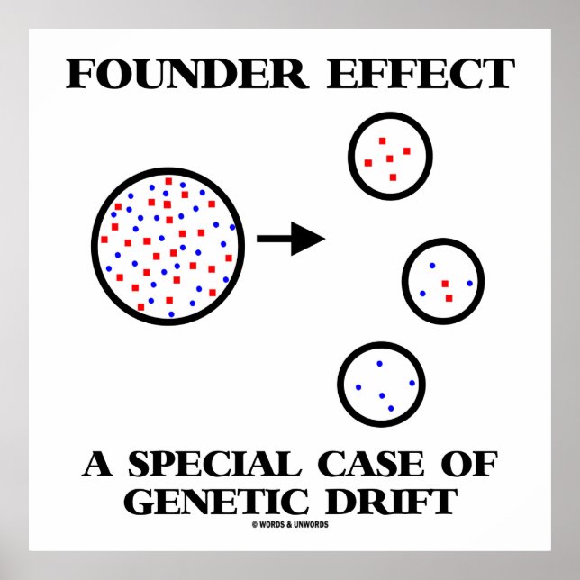 Founder Effect A Special Case Of Genetic Drift Poster (Front)