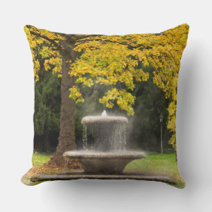 Fountain by a tree in fall, Germany Cushion