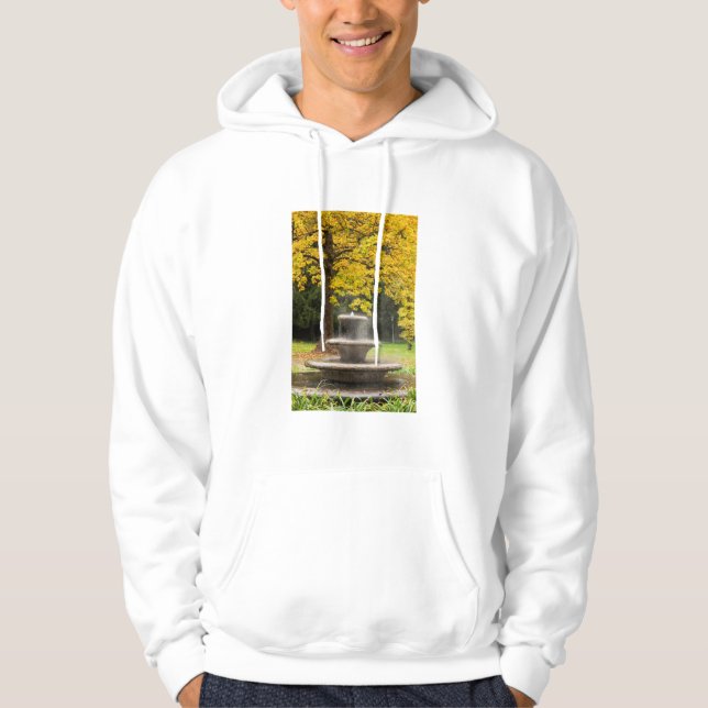 Fountain by a tree in fall, Germany Hoodie (Front)