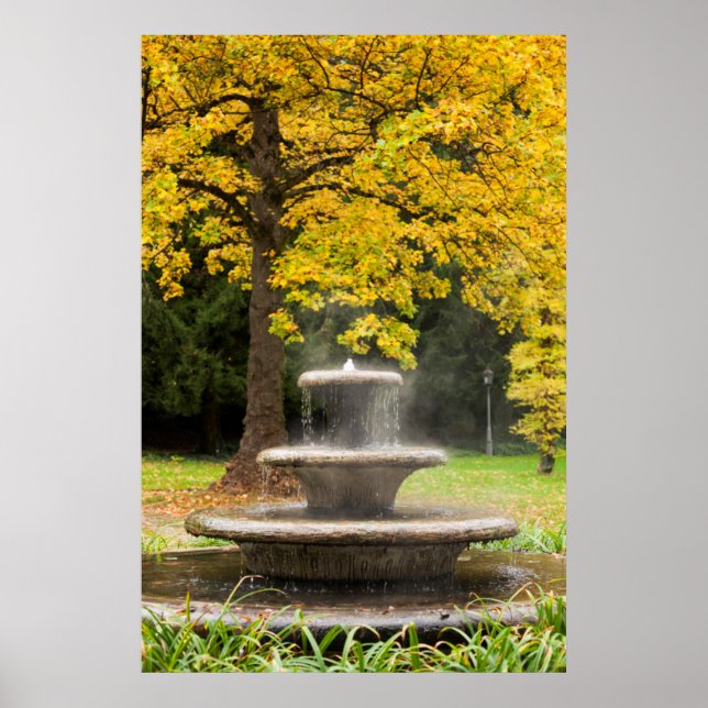 Fountain by a tree in fall, Germany Poster (Front)