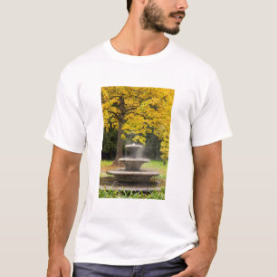 Fountain by a tree in fall, Germany T-Shirt