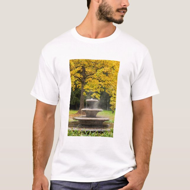 Fountain by a tree in fall, Germany T-Shirt (Front)