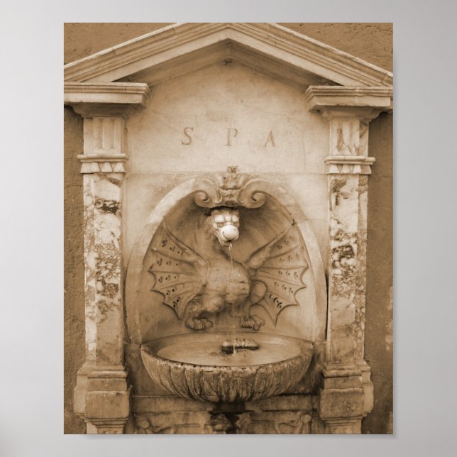 Fountain in Rome Poster (Front)