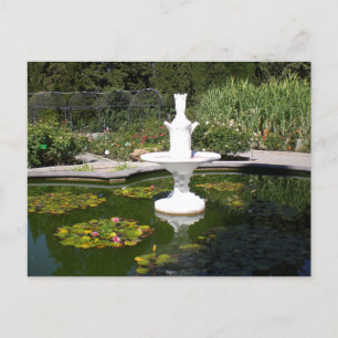 Fountain in the Botanical Garden Postcard