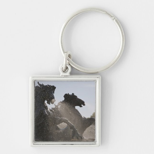 Fountain, Monument des Girondins, Bordeaux, Key Ring (Front)