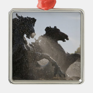 Fountain, Monument des Girondins, Bordeaux, Metal Ornament