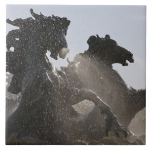 Fountain, Monument des Girondins, Bordeaux, Tile