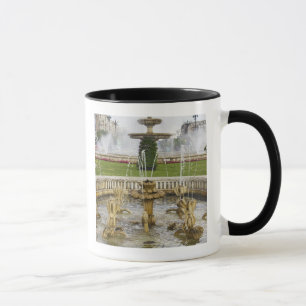 Fountains in front of the Palace of Parliament Mug