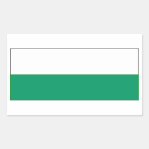FOUR Aalten Flag Rectangular Sticker