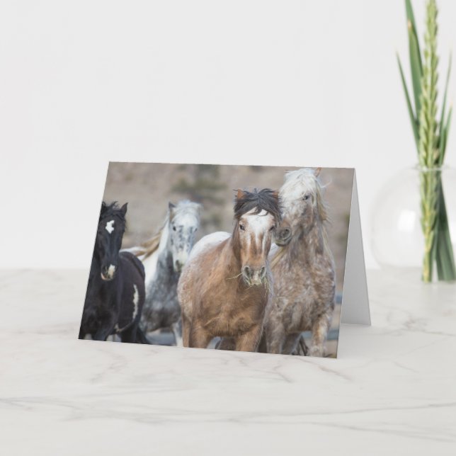 Four Adobes - Galloping to Freedom Greeting Card (Front)