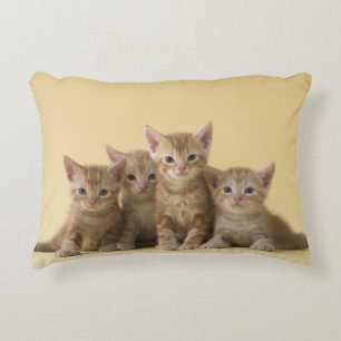Four American Shorthair Kittens Decorative Cushion
