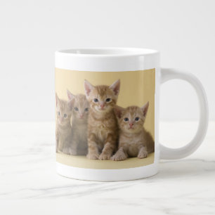 Four American Shorthair Kittens Large Coffee Mug