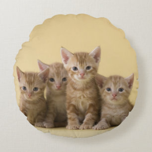 Four American Shorthair Kittens Round Cushion