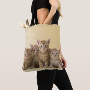 Four American Shorthair Kittens Tote Bag