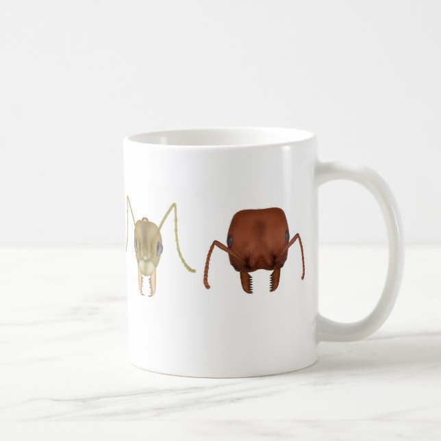 Four ants on a mug (Right)