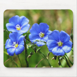 Four Beautiful Blue Wildflowers Bloom Kananaskis Mouse Pad