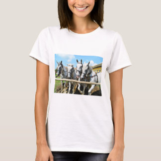 Four beautiful horses animal T-Shirt