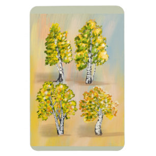 Four birch trees in color, botanical. magnet