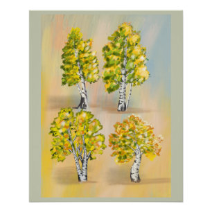 Four birch trees in color, botanical. poster