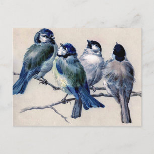 Four Birds on a Branch Postcard