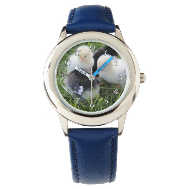 Four Black and Yellow Baby Chicken chicks Watch (Front)