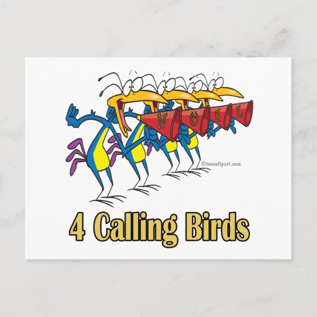 four calling birds 4th fourth day of christmas holiday postcard (Front)