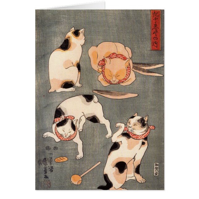 Four Cats Playing Together (Front)