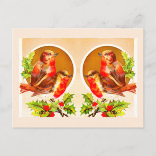 Four Christmas robins postcard
