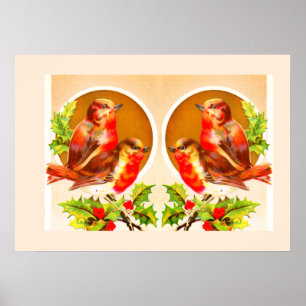 Four Christmas robins poster