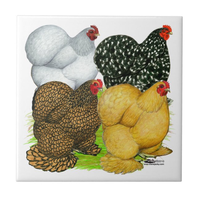Four Cochin Hens Ceramic Tile (Front)