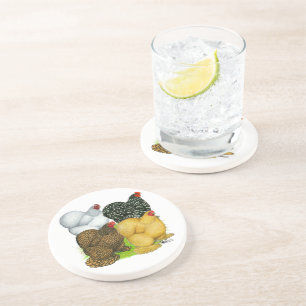 Four Cochin Hens Coaster
