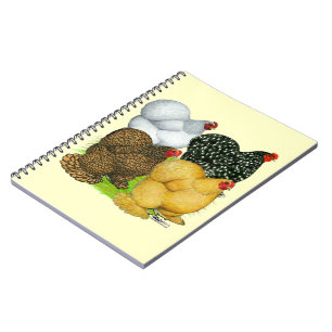 Four Cochin Hens Notebook