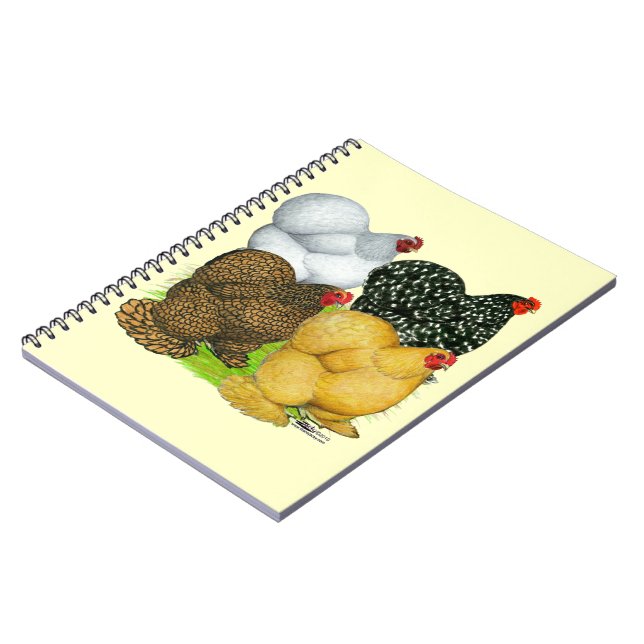 Four Cochin Hens Notebook (Left Side)